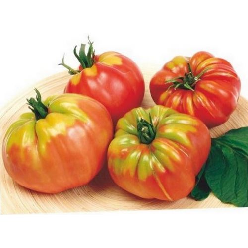 Buzzy® Pomodori Cuor Di Bue - afbeelding 2