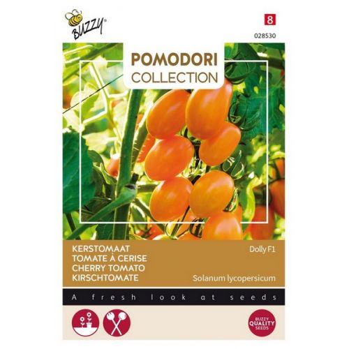 Buzzy® Pomodori Dolly F1 - afbeelding 1