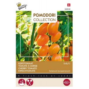 Buzzy® Pomodori Dolly F1 - afbeelding 1