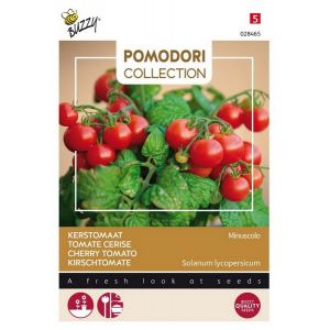 Buzzy® Pomodori Minuscolo - afbeelding 1