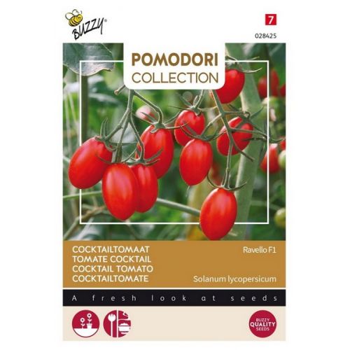 Buzzy® Pomodori Ravello F1 (cocktailtomaat) - afbeelding 1