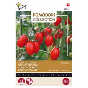 Buzzy® Pomodori Ravello F1 (cocktailtomaat) - afbeelding 1