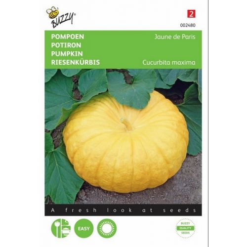 Buzzy® Pompoen Gele Reuzen - afbeelding 1