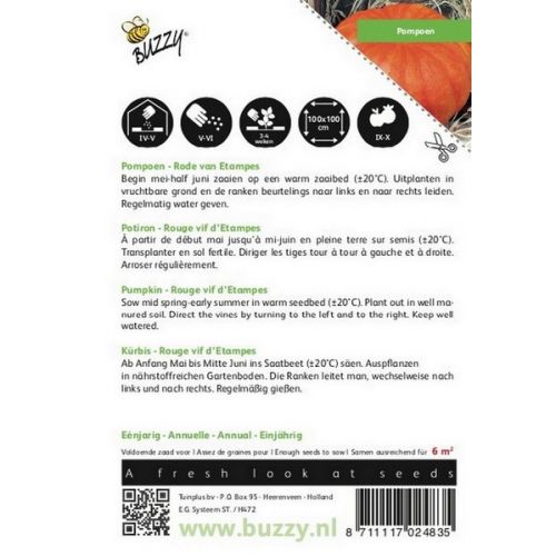 Buzzy® Pompoen Rode van Etampes - afbeelding 2