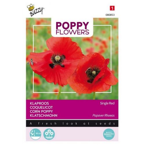 Buzzy® Poppies of the world, Klaproos Rhoeas Rood - afbeelding 1