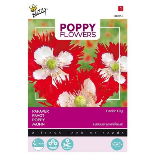 Buzzy® Poppies of the world, Papaver Deense Vlag - afbeelding 1