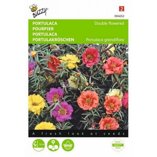 Buzzy® Portulaca dubbelbloemig gemengd - afbeelding 1