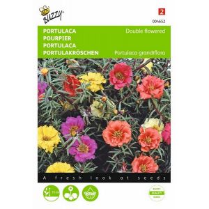 Buzzy® Portulaca dubbelbloemig gemengd - afbeelding 1