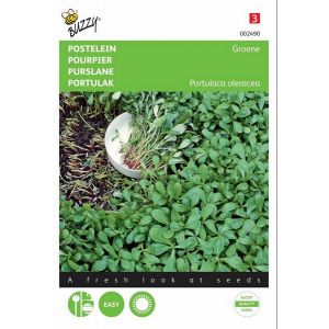Buzzy® Postelein Groene - afbeelding 1