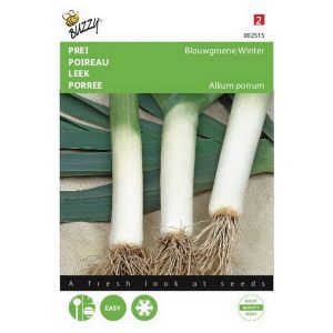 Buzzy® Prei Blauwgroene Winter - afbeelding 1