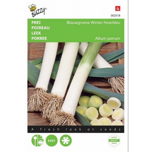 Buzzy® Prei Blauwgroene Winter, Hiverbleu - afbeelding 1