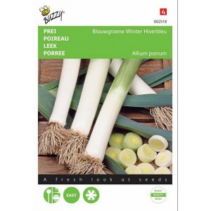 Buzzy® Prei Blauwgroene Winter, Hiverbleu - afbeelding 1