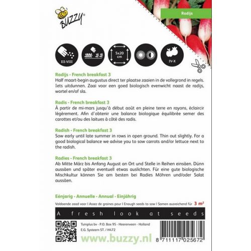 Buzzy® Radijs French Breakfast 3 - afbeelding 2