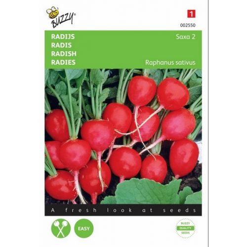 Buzzy® Radijs Saxa 2 - afbeelding 1