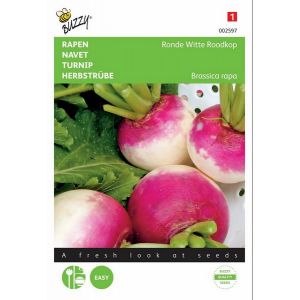 Buzzy® Rapen Ronde Witte Roodkop, de Nancy - afbeelding 1