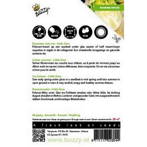 Buzzy® Romeinse Mini Sla Little Gem - afbeelding 2