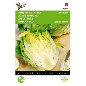 Buzzy® Romeinse Mini Sla Little Gem - afbeelding 1