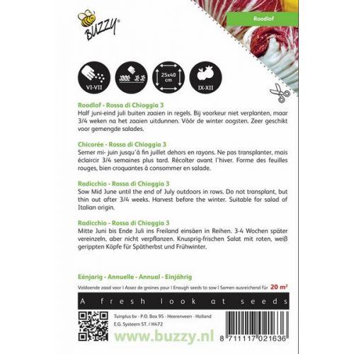 Buzzy® Roodlof Rossa di Chioggia 3 - afbeelding 2