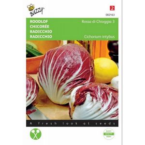 Buzzy® Roodlof Rossa di Chioggia 3 - afbeelding 1