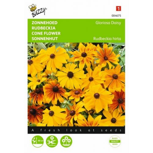 Buzzy® Rudbeckia, Zonnehoed Gloriosa Daisy - afbeelding 1