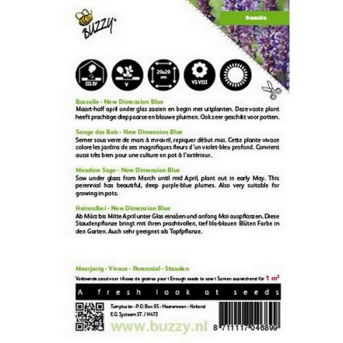 Buzzy® Salvia, Bossalie New Dimension Blue - afbeelding 2