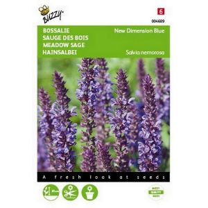 Buzzy® Salvia, Bossalie New Dimension Blue - afbeelding 1