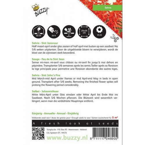 Buzzy® Salvia, Vuursalie Sint Jansvuur - afbeelding 2