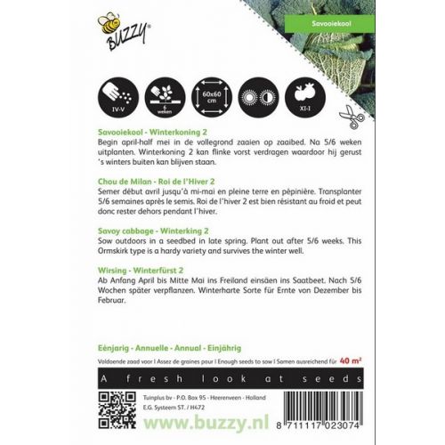 Buzzy® Savooiekool Winterkoning 2 - afbeelding 2