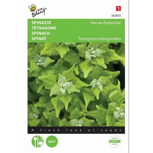 Buzzy® Spinazie Nieuw-Zeelandse - afbeelding 1