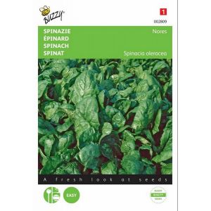 Buzzy® Spinazie Nores - afbeelding 1