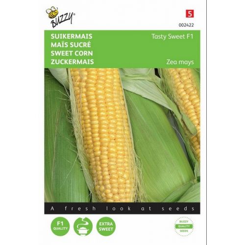 Buzzy® Suikermais Tasty Sweet F1 - afbeelding 1