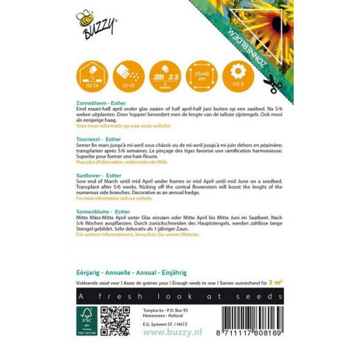 Buzzy® Sunny Flowers, Zonnebloem Esther - afbeelding 2
