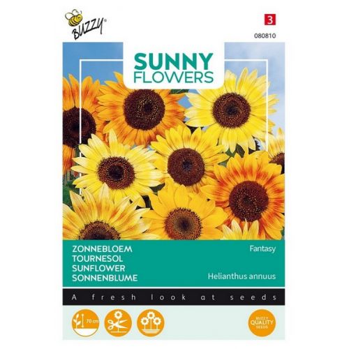 Buzzy® Sunny Flowers, Zonnebloem Music Box - afbeelding 1