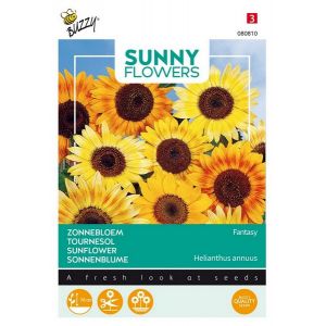 Buzzy® Sunny Flowers, Zonnebloem Music Box - afbeelding 1