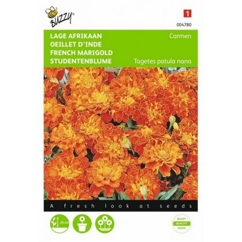 Buzzy® Tagetes, lage Afrikaan Carmen - afbeelding 1