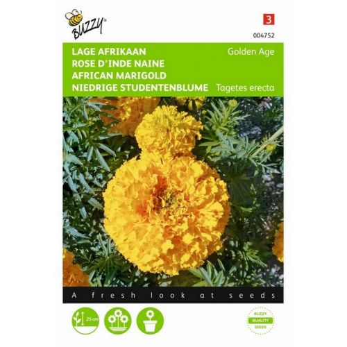 Buzzy® Tagetes, lage Afrikaan Golden Age - afbeelding 1