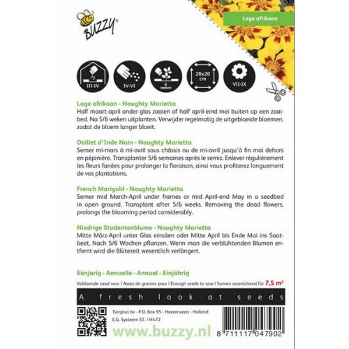 Buzzy® Tagetes, lage Afrikaan NaugHortitopsy Marietta - afbeelding 2