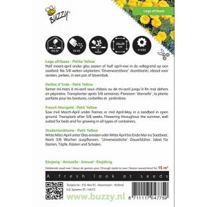 Buzzy® Tagetes, lage Afrikaan Petite Yellow - afbeelding 2