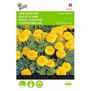 Buzzy® Tagetes, lage Afrikaan Petite Yellow - afbeelding 1