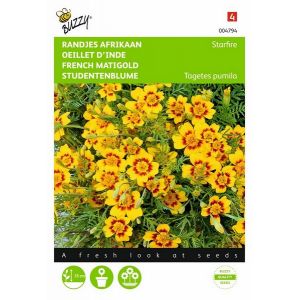 Buzzy® Tagetes, randjes Afrikaan Starfire - afbeelding 1