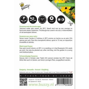 Buzzy® Thunbergia, Suzanne-met-de-mooie-ogen - afbeelding 2
