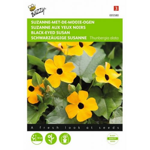 Buzzy® Thunbergia, Suzanne-met-de-mooie-ogen - afbeelding 1