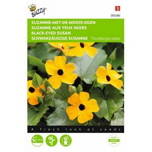 Buzzy® Thunbergia, Suzanne-met-de-mooie-ogen - afbeelding 1