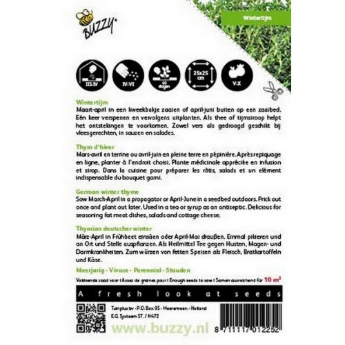 Buzzy® Tijm EcHortitopse Winter - afbeelding 2