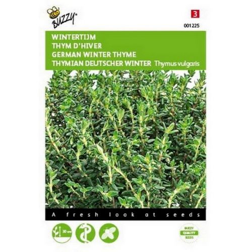 Buzzy® Tijm EcHortitopse Winter - afbeelding 1