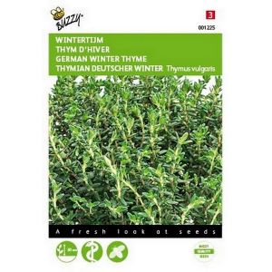 Buzzy® Tijm EcHortitopse Winter