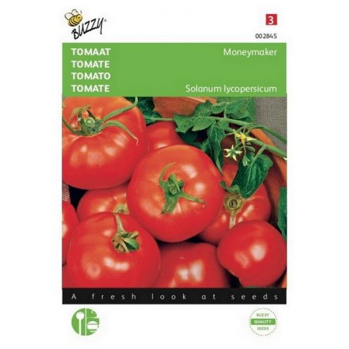 Buzzy® Tomaat Moneymaker - afbeelding 1