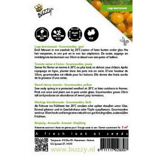 Buzzy® Tomaten Gourmandise (gele cherry patio) - afbeelding 2