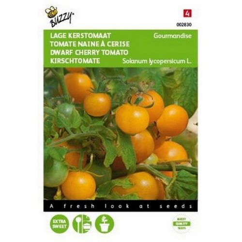 Buzzy® Tomaten Gourmandise (gele cherry patio) - afbeelding 1