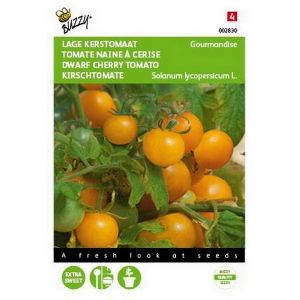 Buzzy® Tomaten Gourmandise (gele cherry patio) - afbeelding 1